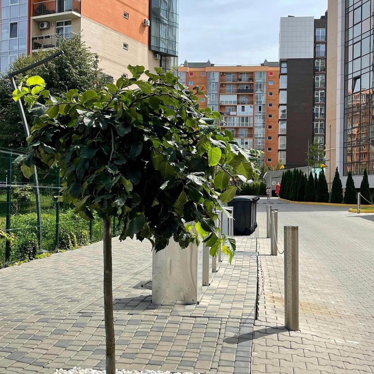צ'רנוביץ Vodogray Luxury Apartments With Underground Parking Елітний Житловий Комплекс מראה חיצוני תמונה