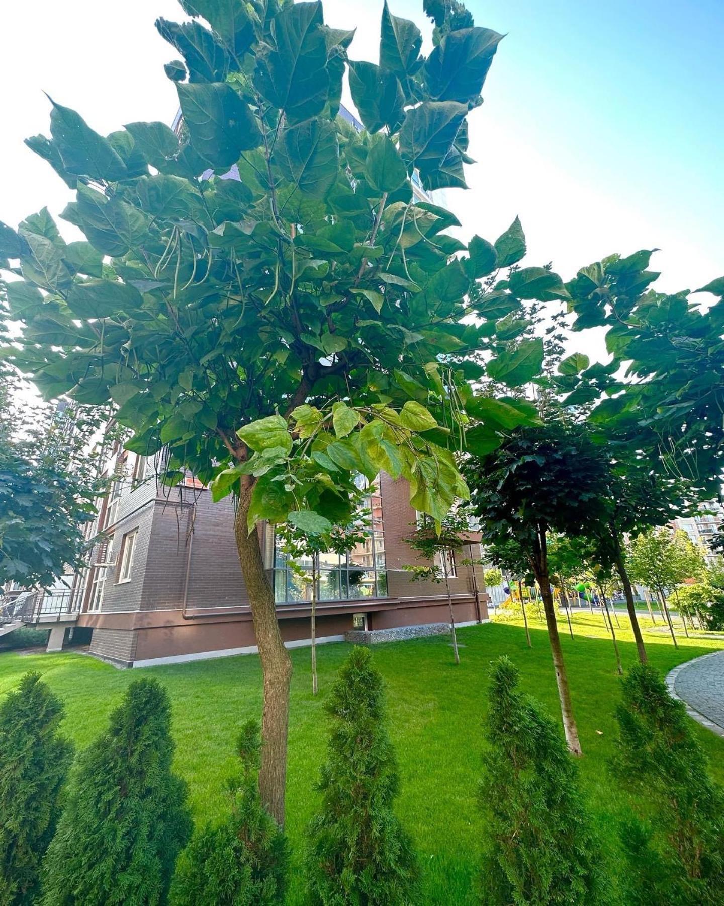 צ'רנוביץ Vodogray Luxury Apartments With Underground Parking Елітний Житловий Комплекс מראה חיצוני תמונה