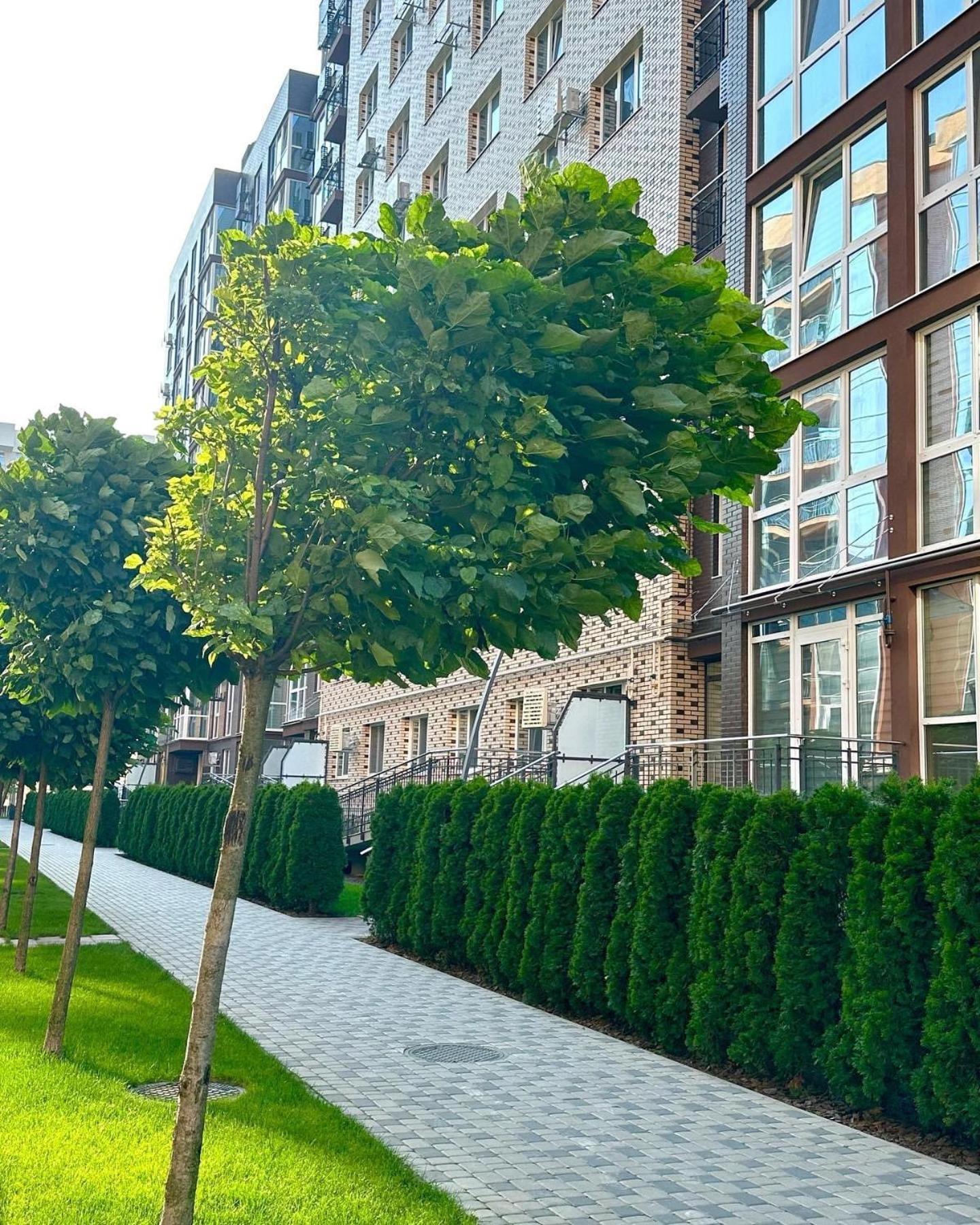 צ'רנוביץ Vodogray Luxury Apartments With Underground Parking Елітний Житловий Комплекс מראה חיצוני תמונה